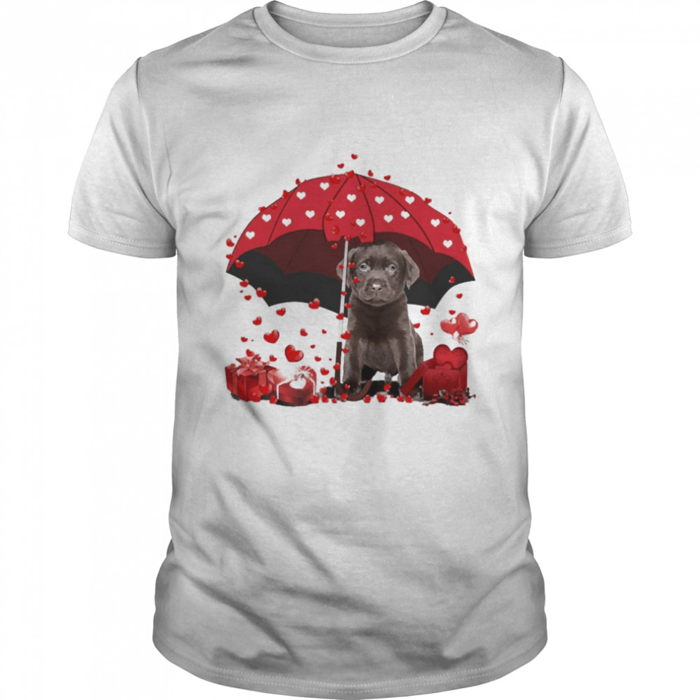 Loving Red Umbrella Chocolate Labrador Christmas Sweater Shirt