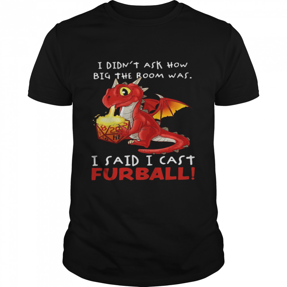 Dragon I didn’t ask how big the room was i said i cast furball shirt