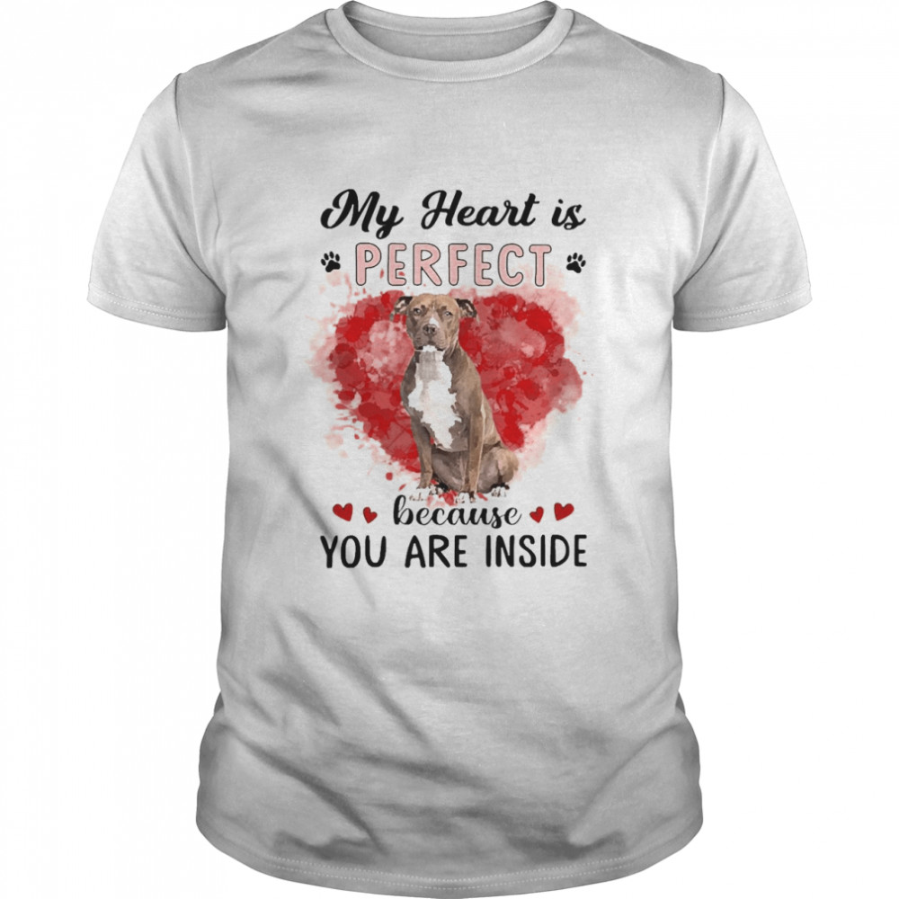 My Heart Is Perfect Because You Are Inside Brown Pitbull Shirt