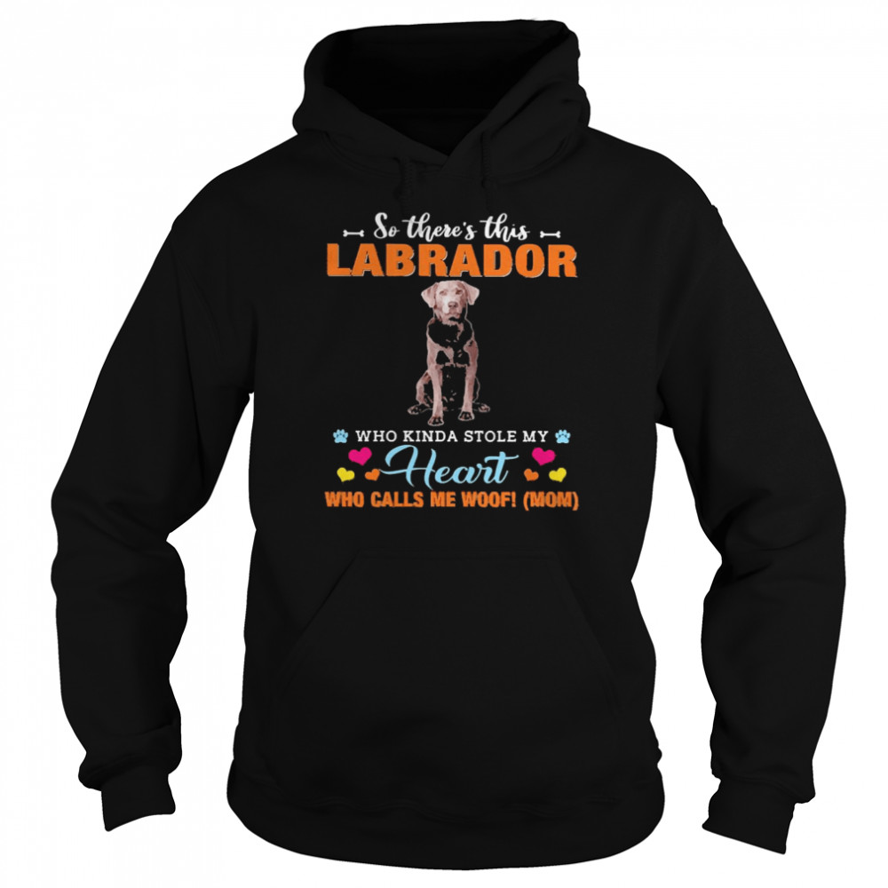 Official a Dog Kinda Stole My Heart So There’s This Silver Labrador Who Kinda Stole My Heart Who Calls Me Woof Mom  Unisex Hoodie