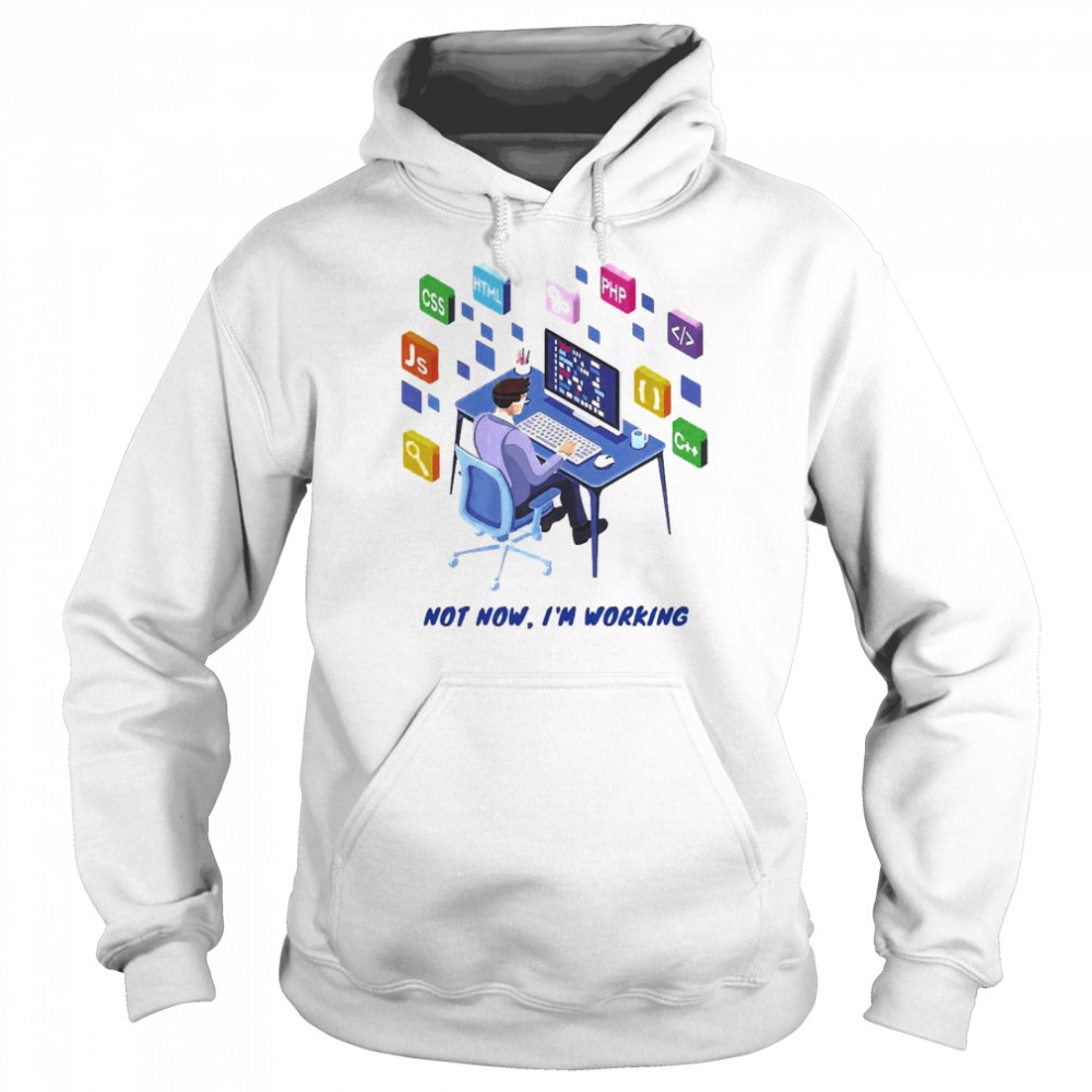 Not Now I’m Working Web Developer  Unisex Hoodie