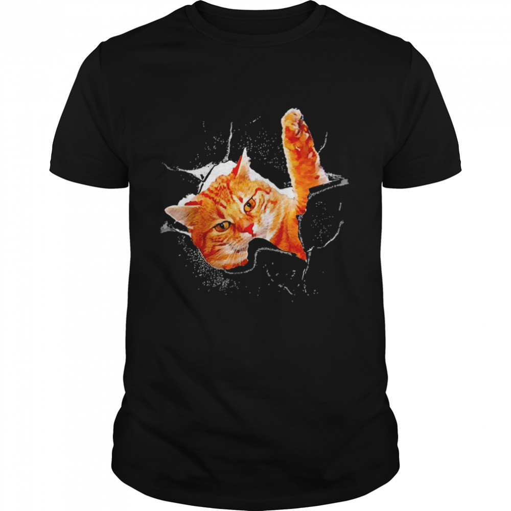 Cat Cracked Wall Shirt