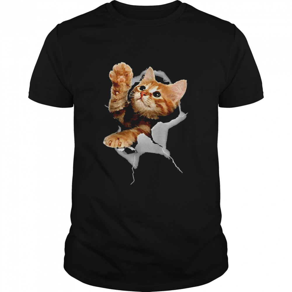 Kitten Cracked Wall Shirt