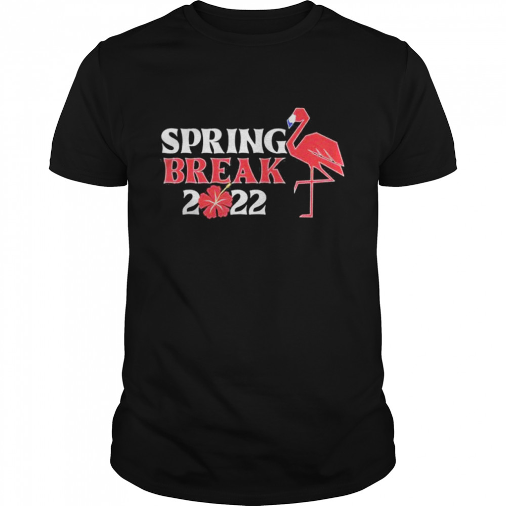 Spring Break 2022 Florida Flamingo Family matching shirt