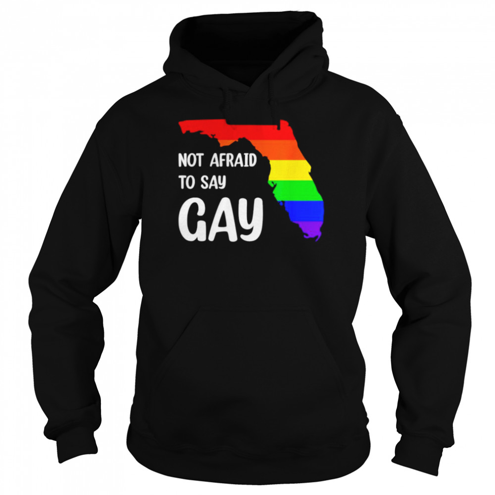 Florida not afraid to say gay shirt Unisex Hoodie