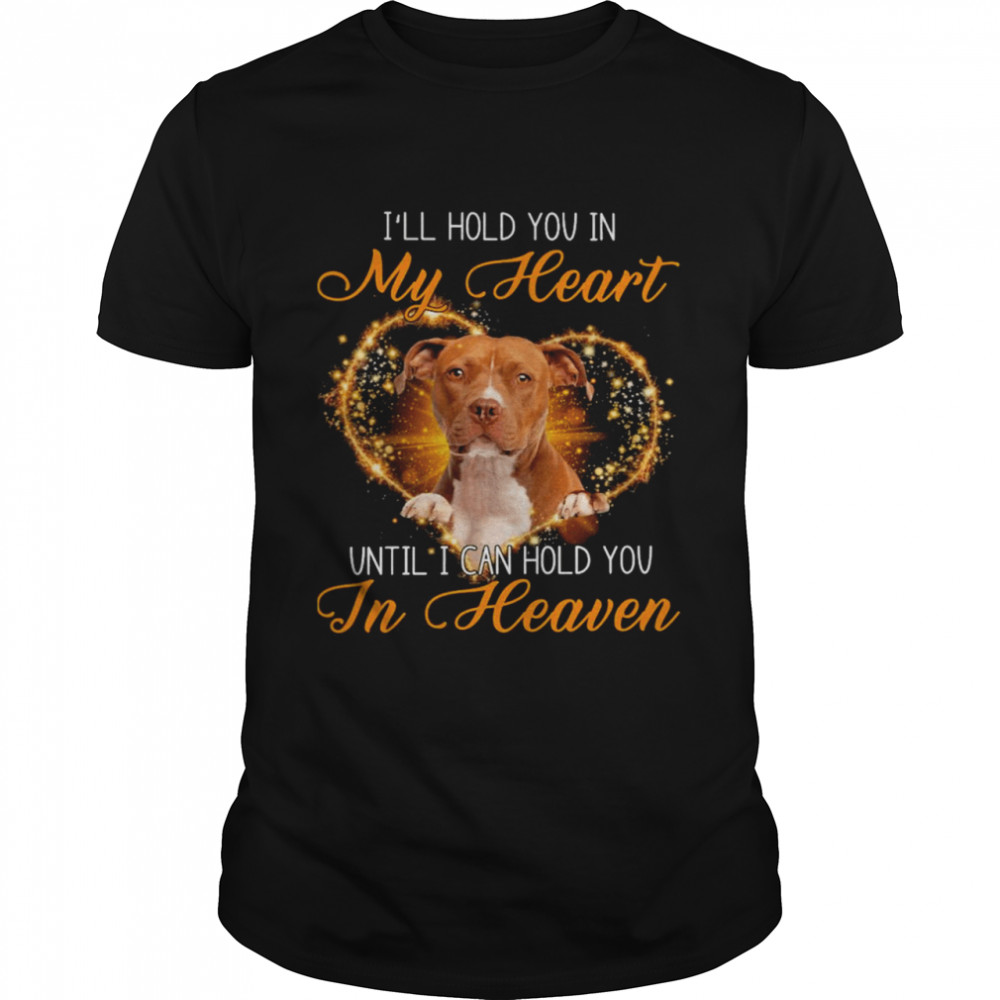 Brown Pitbull Dog I’ll Hold You In My Heaven Until I Can Hold You In Heaven Shirt