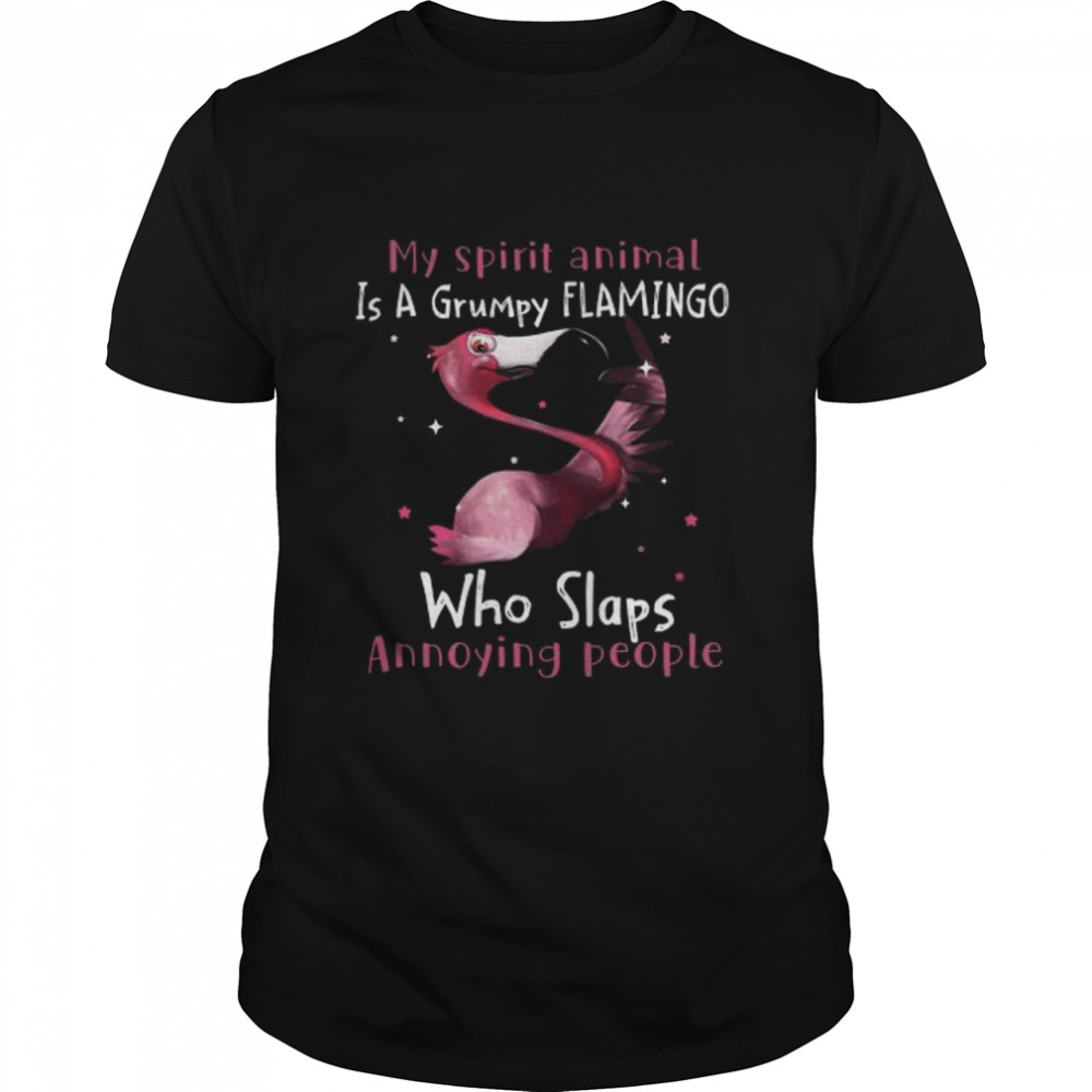 Flamingo my spirit animal is a grumpy flamingo who slaps annoying people shirt