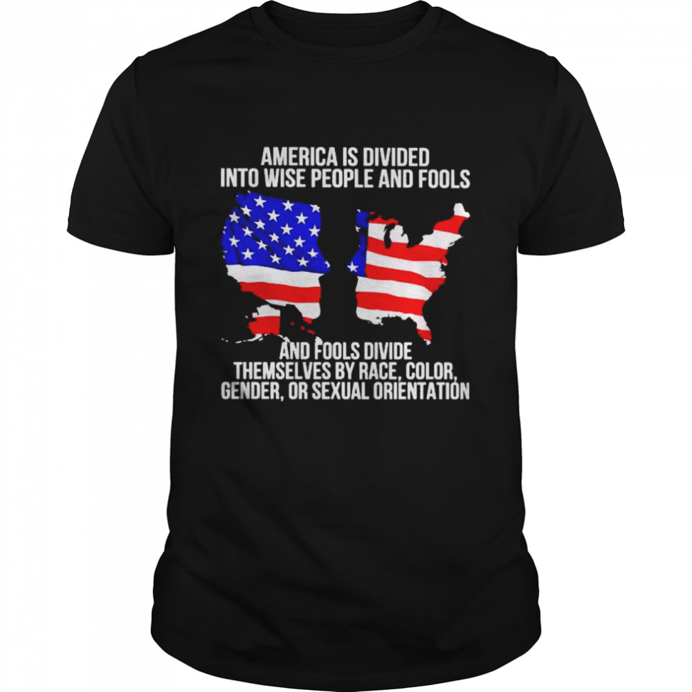 america is divided into wise people and fools and fools divide shirt