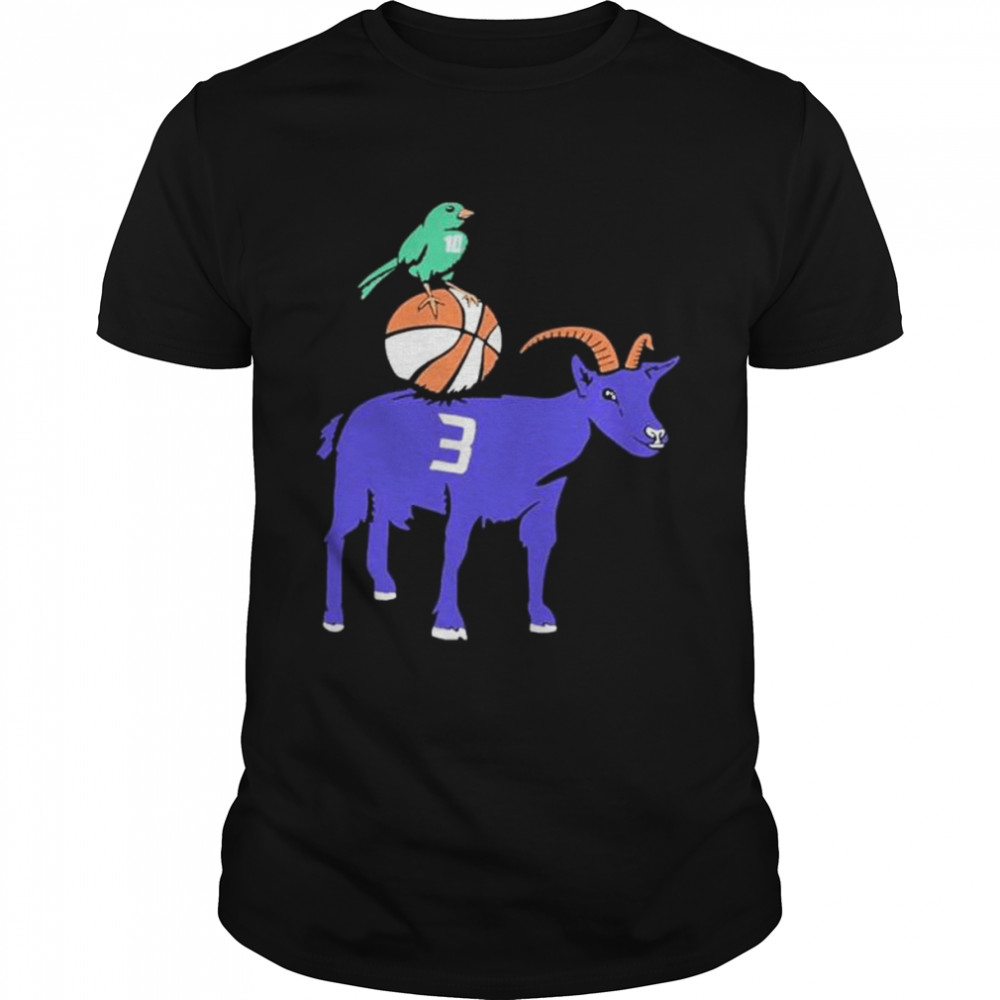 Sue Bird And Diana Taurasi T Shirt