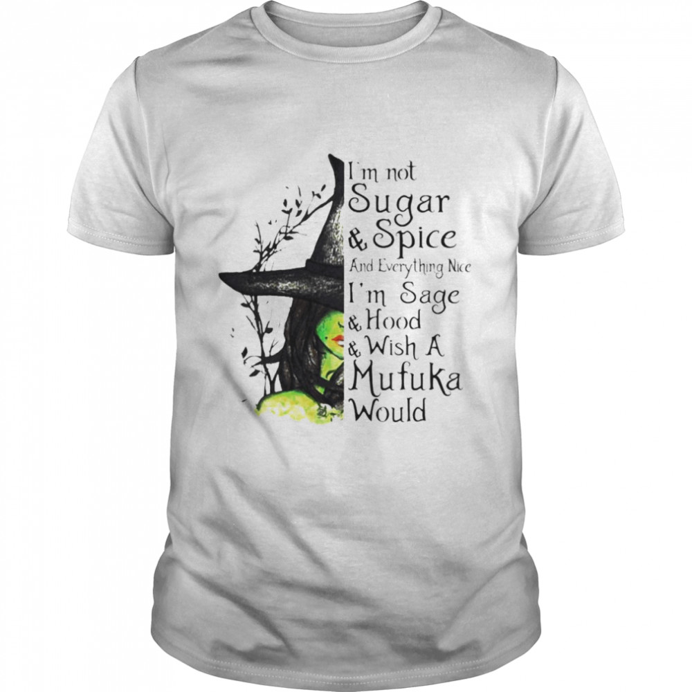 Witch girl i’m not sugar & spice and everything nice shirt