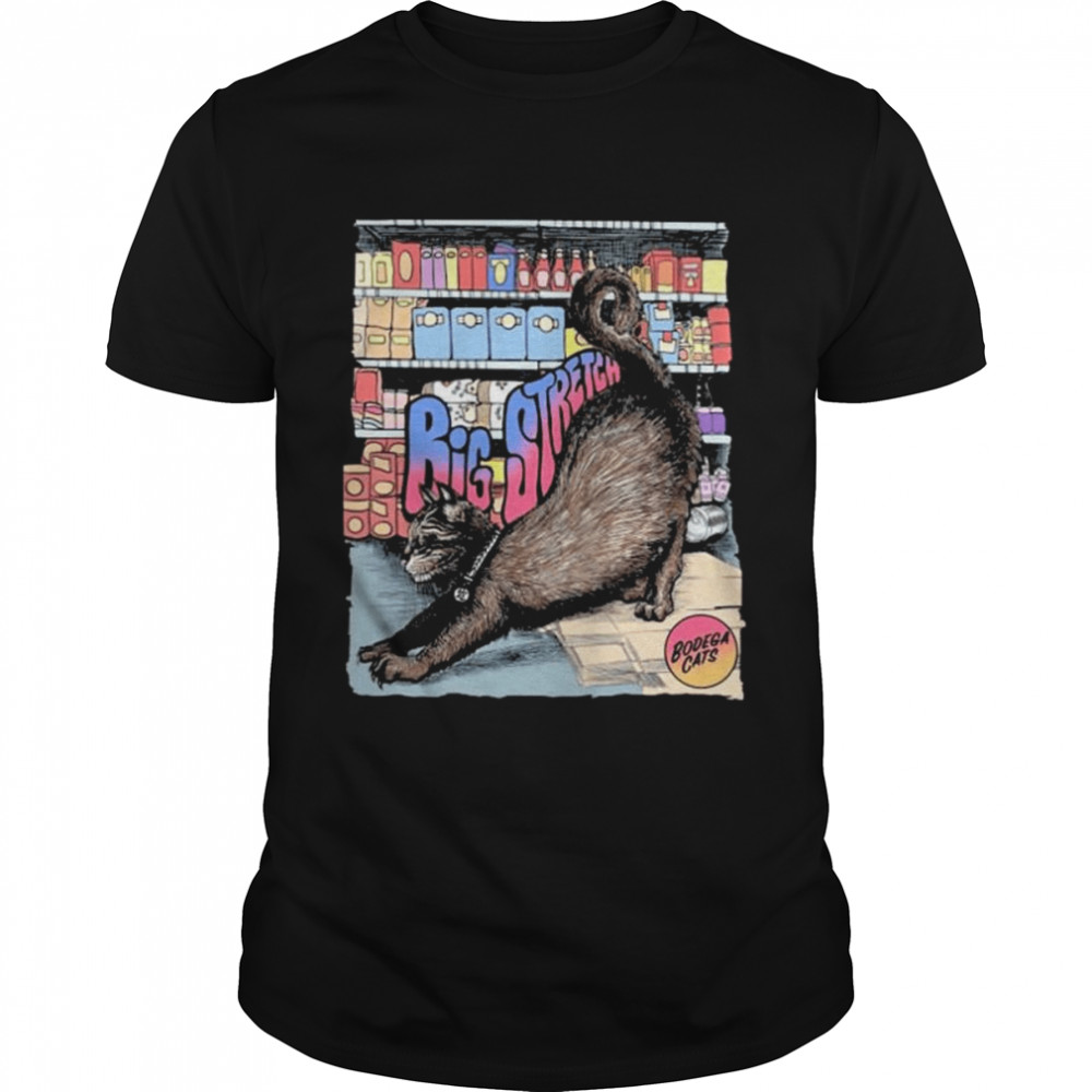 Cat Big Stretch Tee Shirt