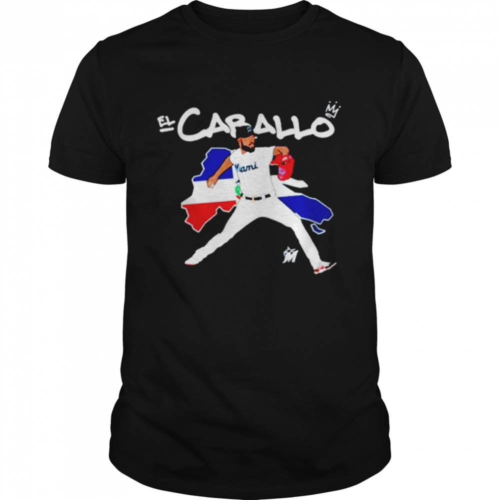 El Sandy Alcantara shirt