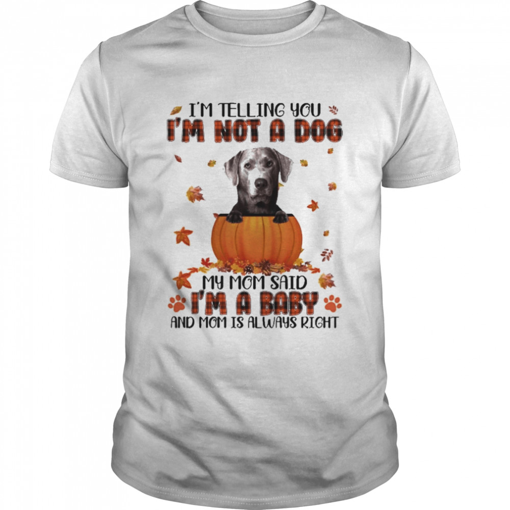 Autumn Baby Silver Labrador I’m Telling You I’m Not A Dog My Mom Said I’m A Baby And Mom Is Always Right Shirt