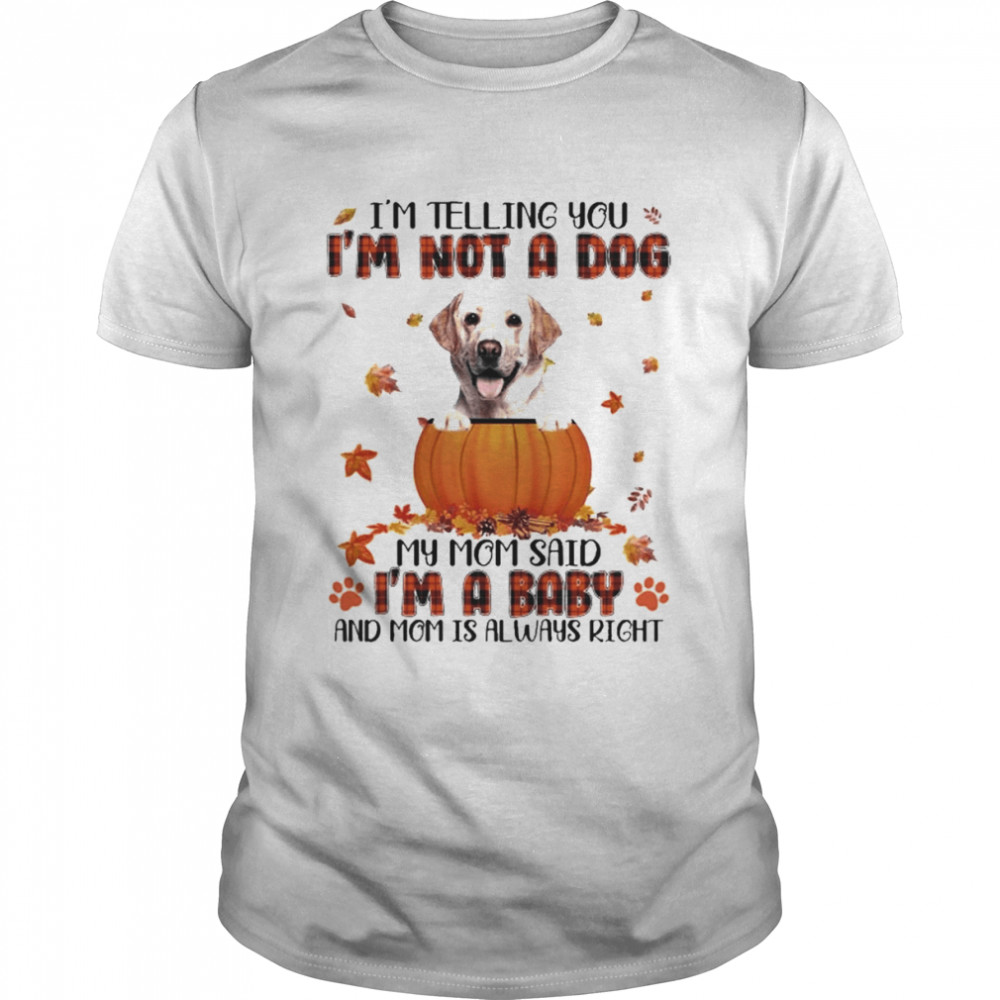 Autumn Baby Yellow Labrador Halloween I’m Telling You I’m Not A Dog My Mom Said I’m A Baby And Mom Is Always Right Shirt