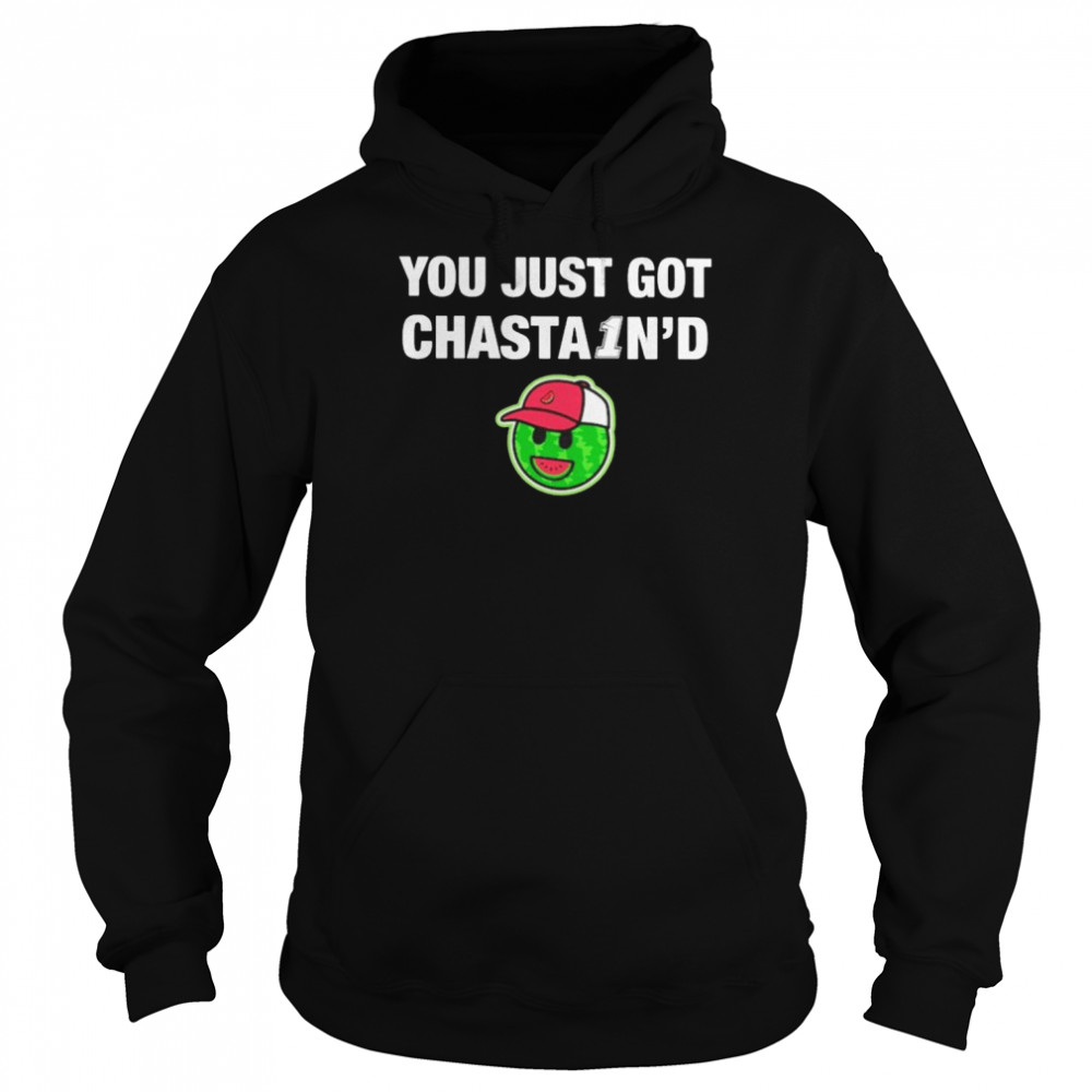 You just got chasta1n’d shirt Unisex Hoodie