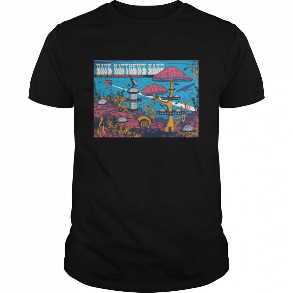 Status Serigraph Dave Matthews Band Jacksonville Poster Artist Edition 2022 shirt