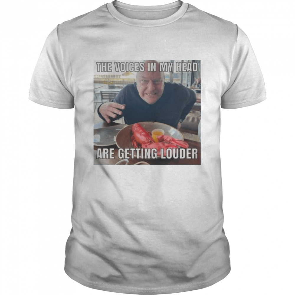 Voices In My Head Breaking Bad Hank shirt