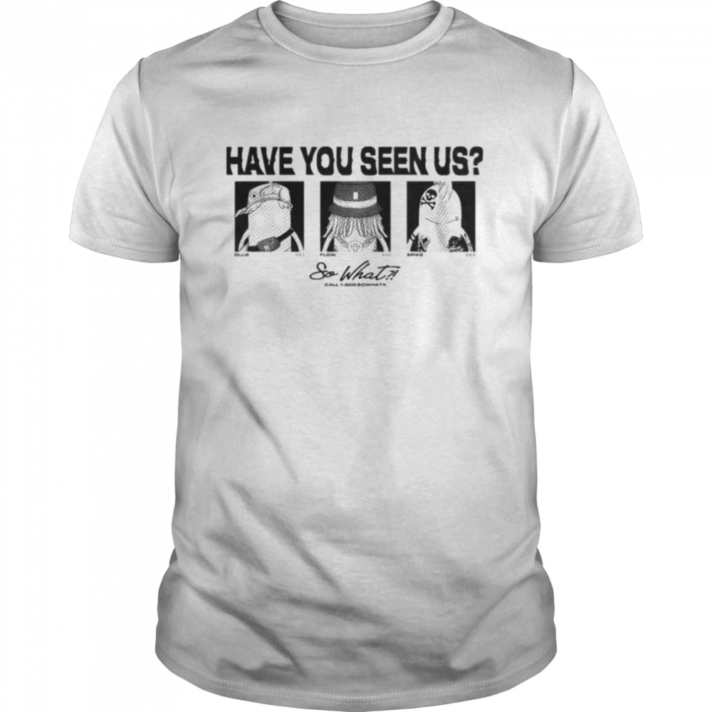 So What Music Festival Merch Have You Seen Us shirt