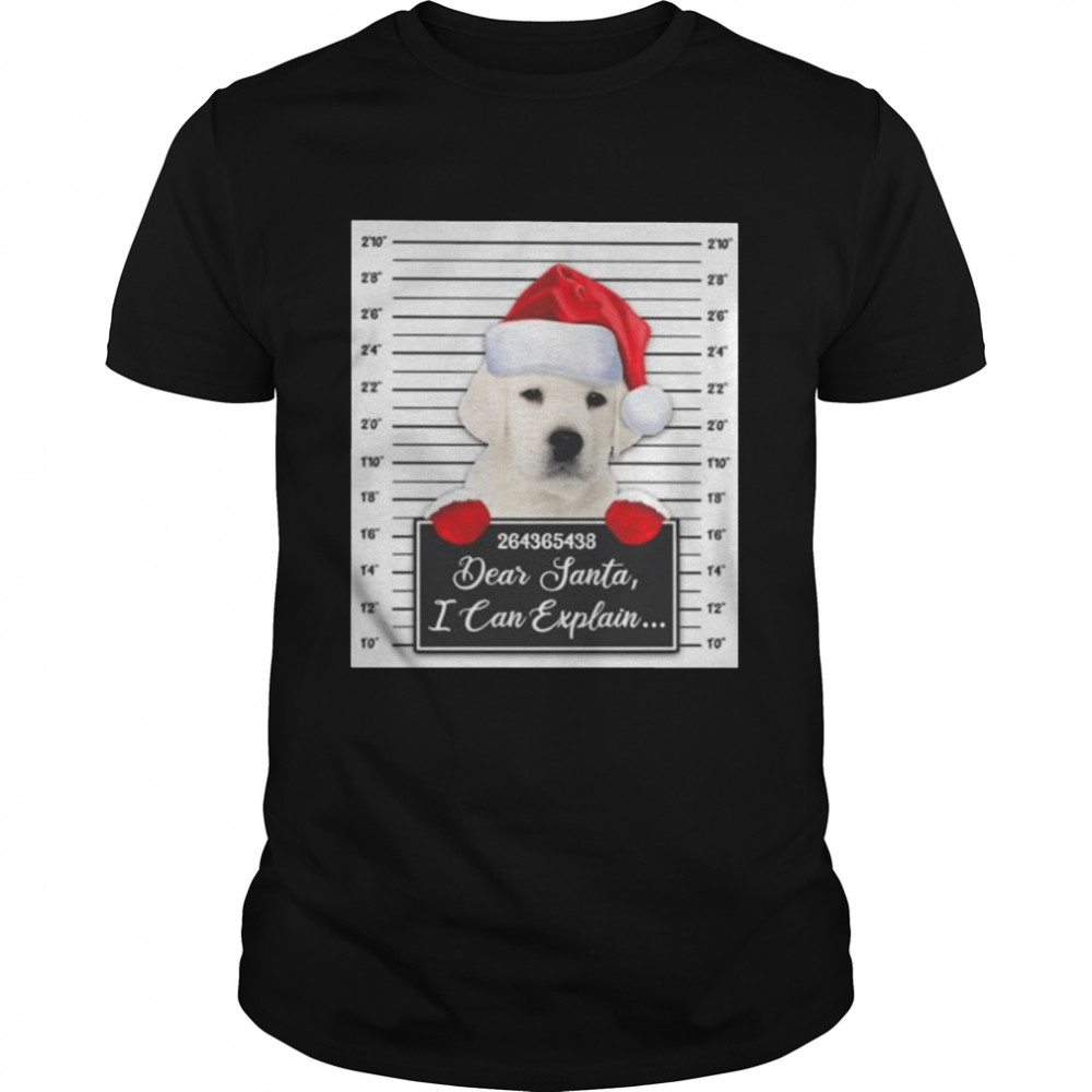 Santa White Labrador dear santa I can explain 2022 Christmas shirt