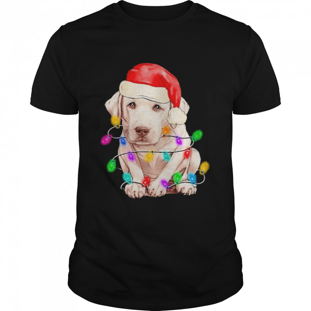 Santa Dog Lover Christmas 2022 shirt