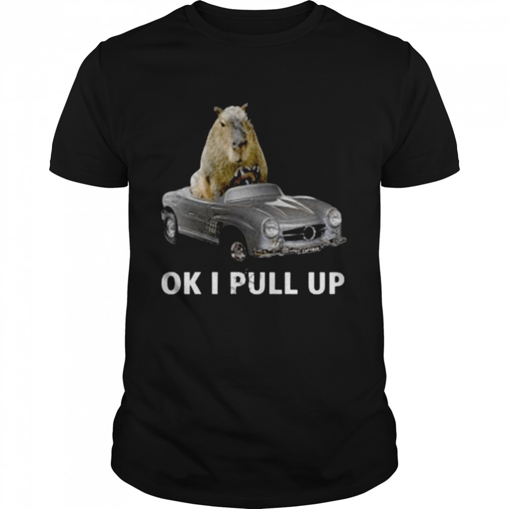 Capy Car Ok I Pull Up shirt