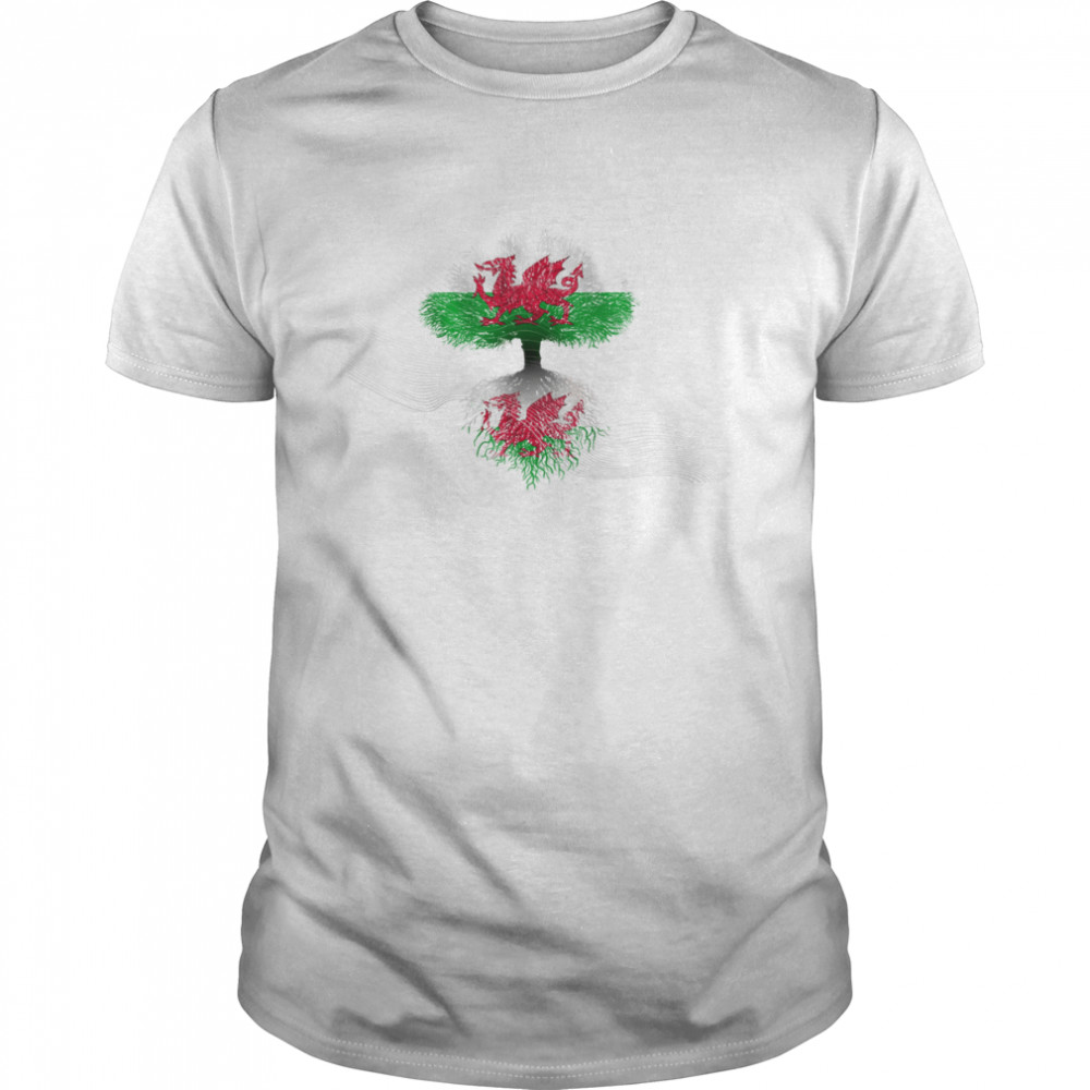 WELSH HERITAGE FLAG MULTI USE TEXTLESS shirt