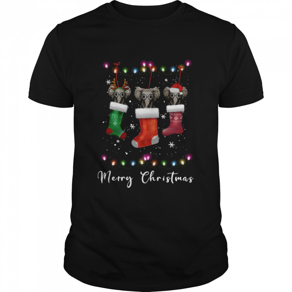 Elephant Santa Hat Sock Merry Christmas Light shirt