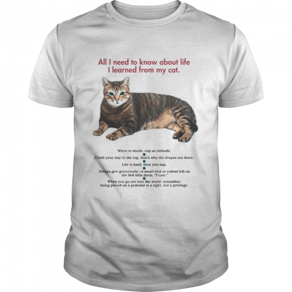 All I Need To Know About Life I Learned From My Cat Tabby Cat shirt