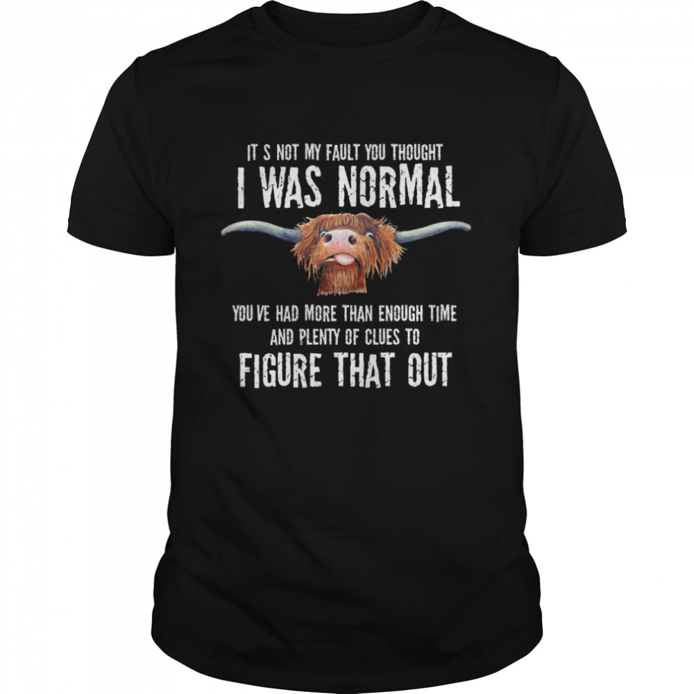 It’s Not My Fault You Thought I Was Normal You’ve Had More Than Enough Time Shirt