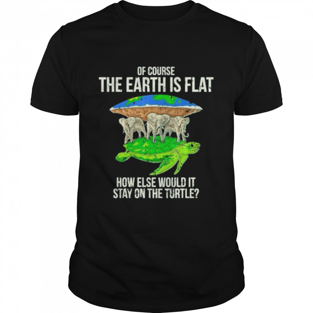 of course the earth is flat how else would it stay on the turtle shirt