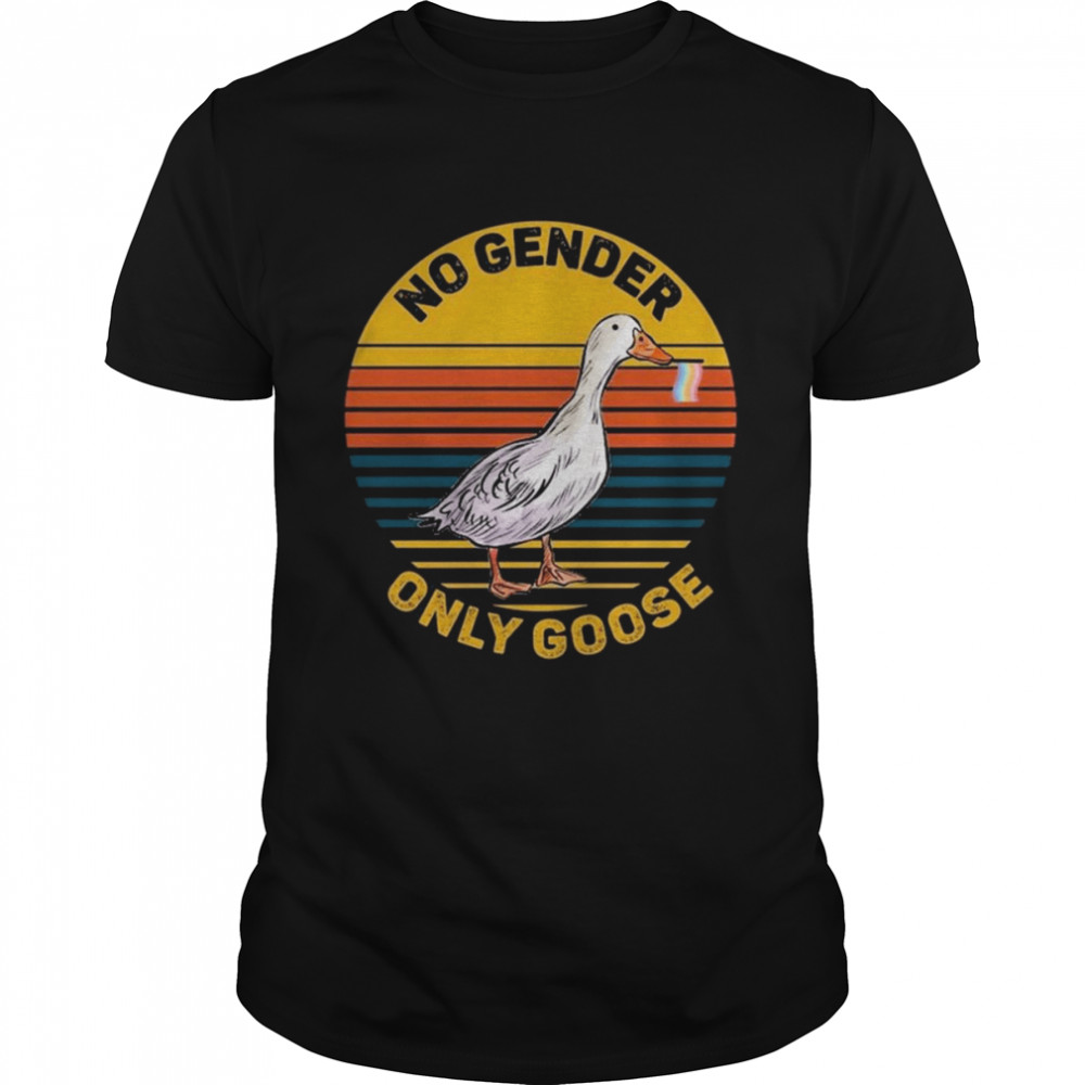 No Gender Only Goose Gender Neutral Pride Flag Vintage Shirt